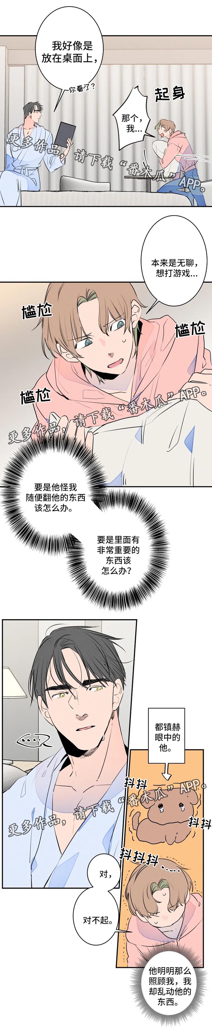 结婚合约5年贺强漫画,第38章：照片1图