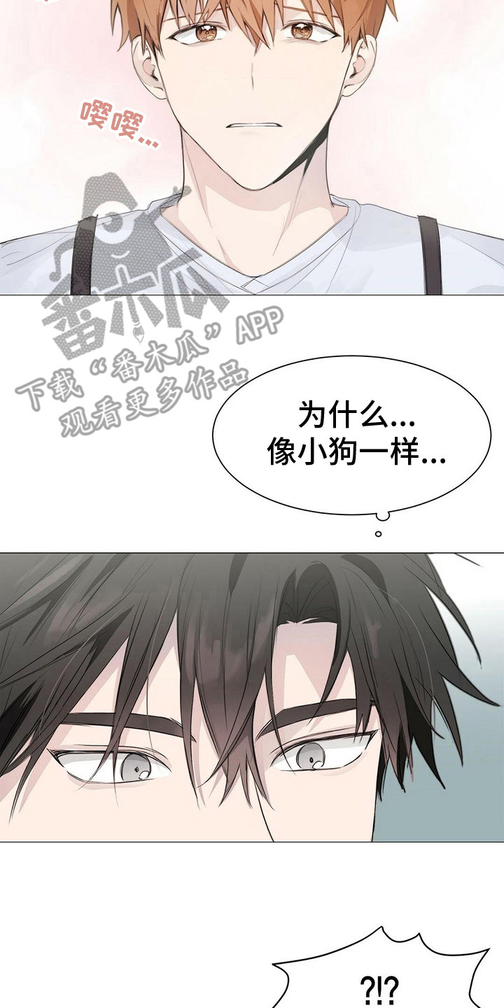 小说攻略漫画,第8章：指责2图