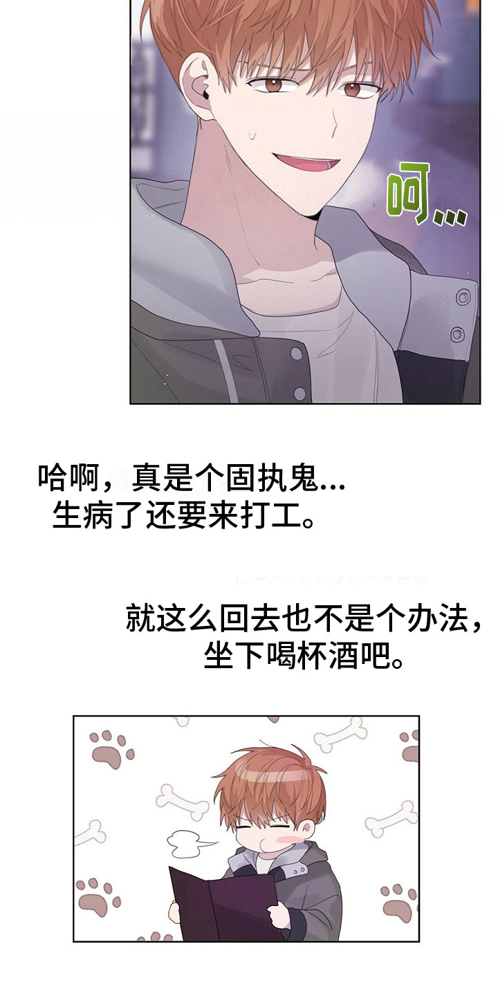 小说攻略完整版完结漫画,第18章：喝一杯2图