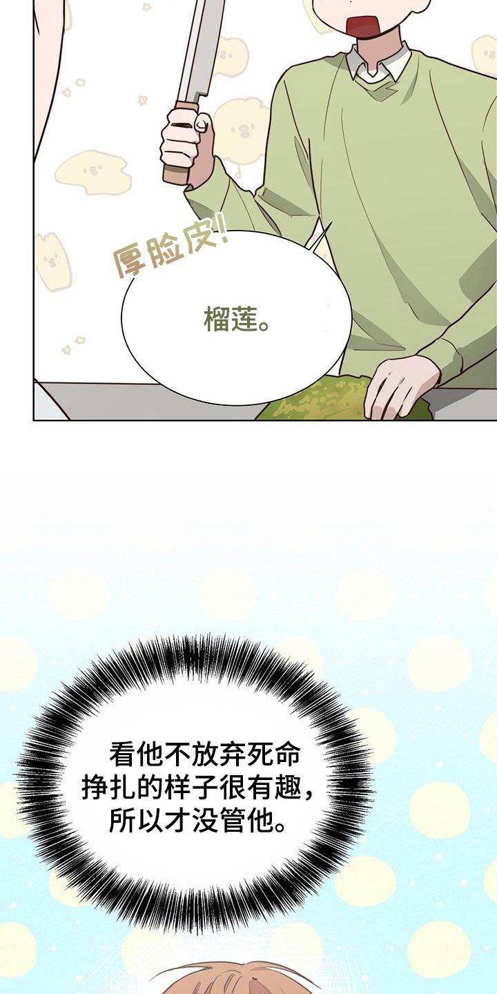 小说攻略一口气看完漫画,第81章：自食其果1图