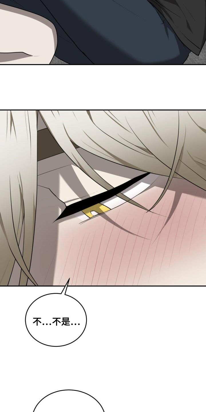 囚徒驯养漫画,第67章：【第二季】你很善良1图