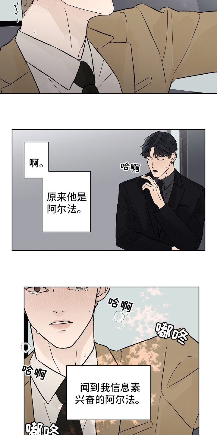 温度与爱情在线观看漫画,第93章：【第二季】命中注定2图