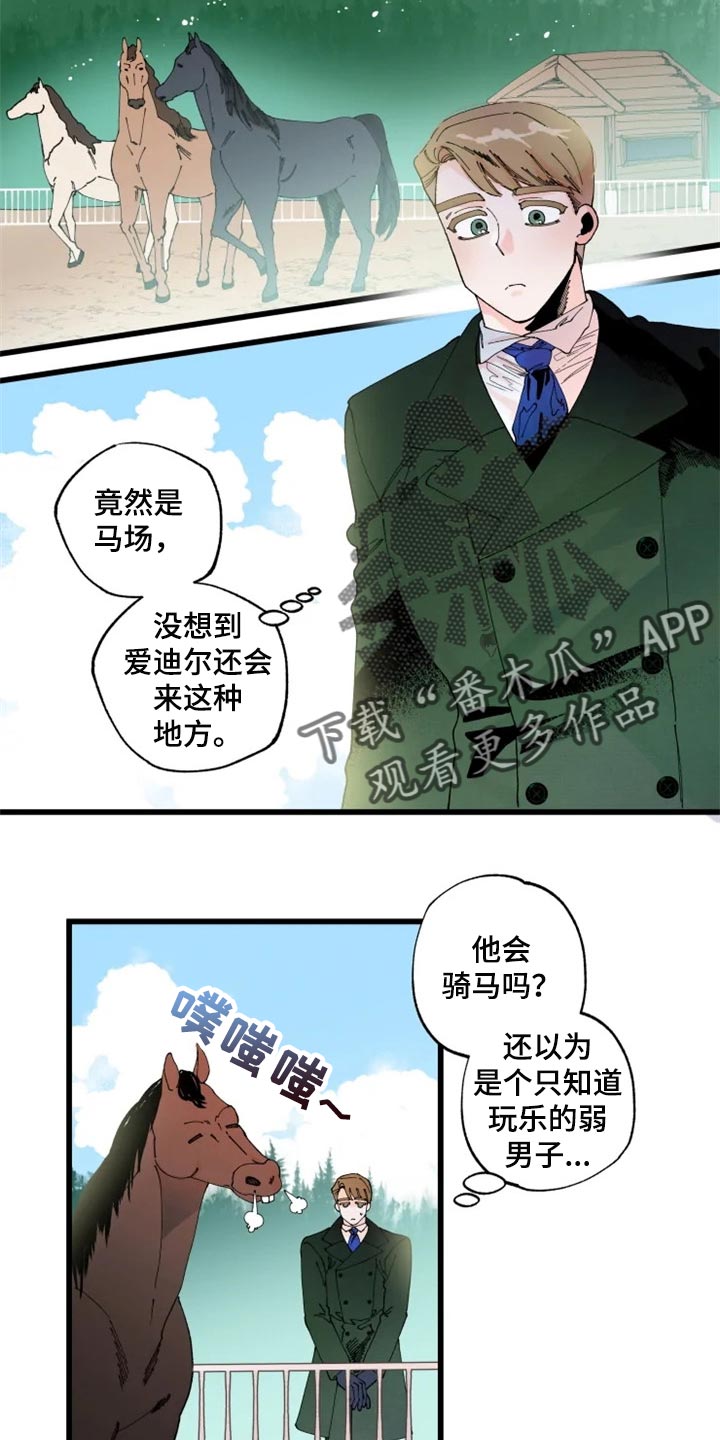 厦门真爱挽回机构漫画,第19章：骑马1图