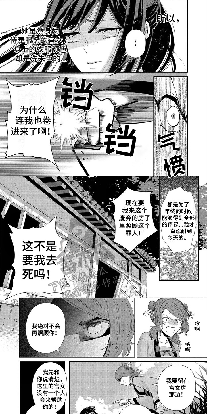 雏鱼短视频漫画,第10章：自由2图