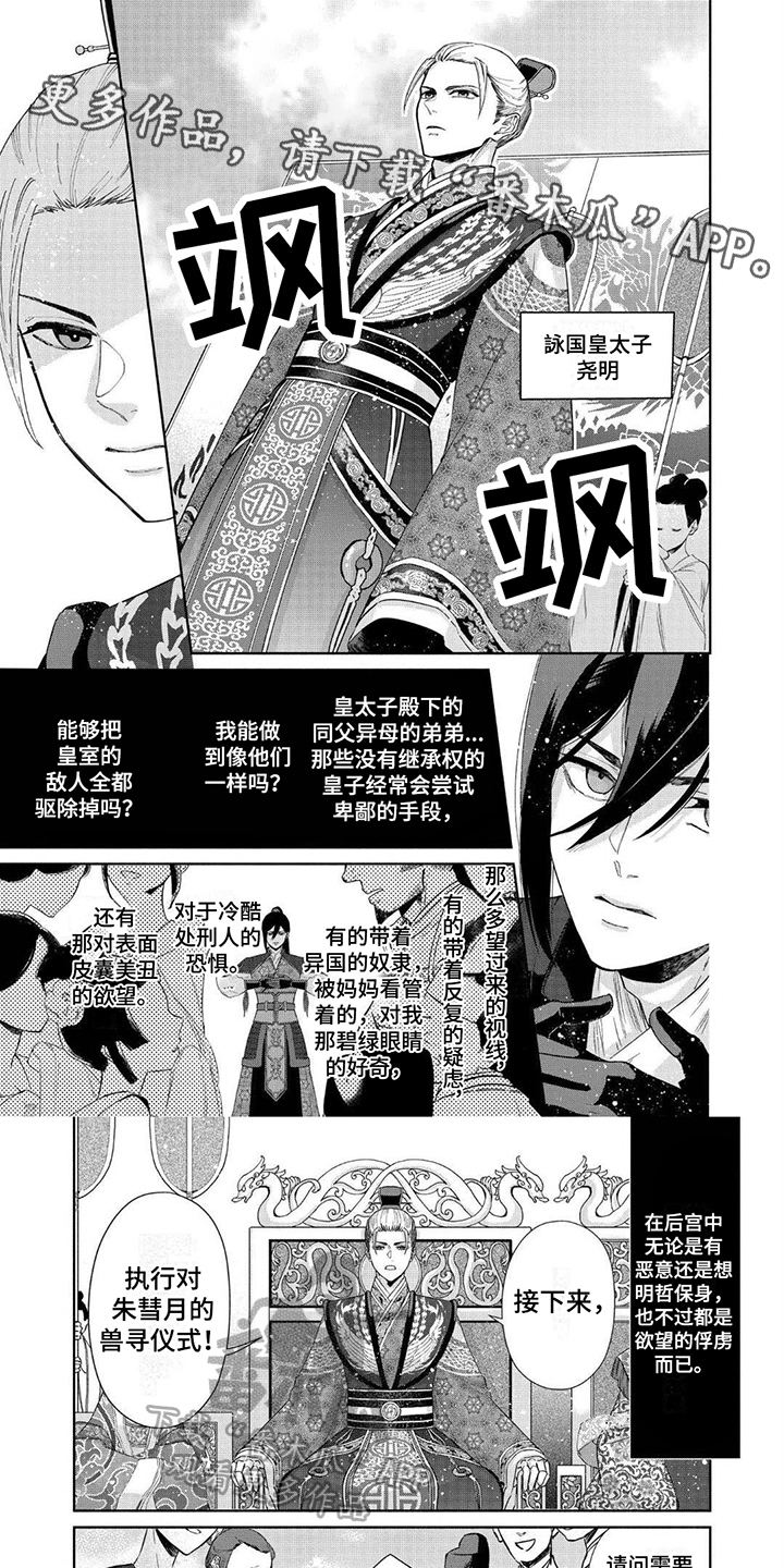 雏怎么读漫画,第6章：兽寻仪式1图