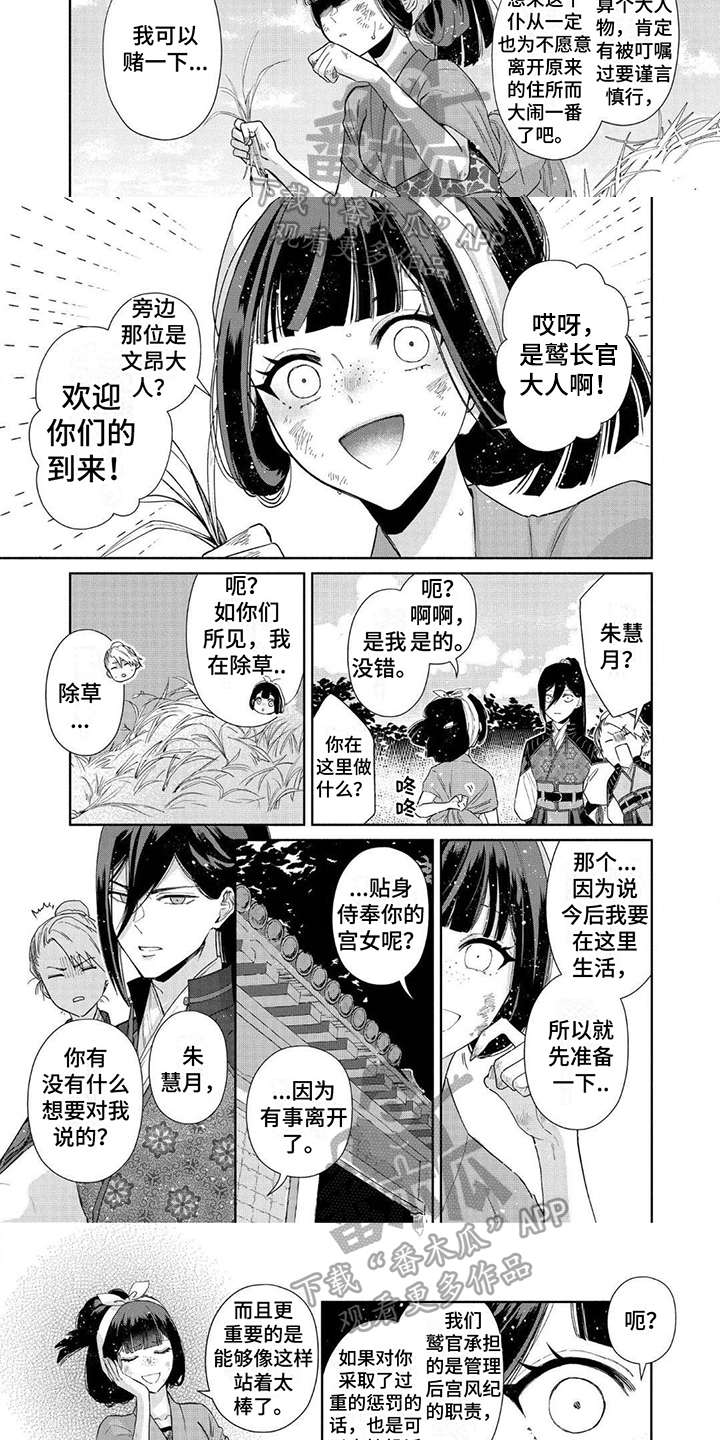 雏鹰之歌漫画,第11章：要求1图