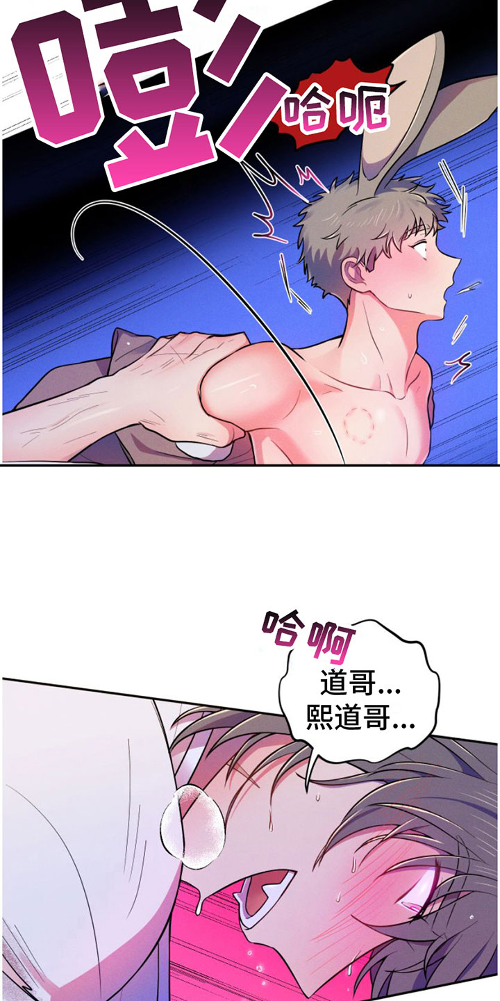 萌兔来袭快看漫画漫画,第9章：继续2图