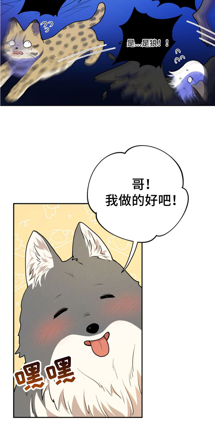 萌兔来袭漫画免费漫画,第1章：兔子救狼2图
