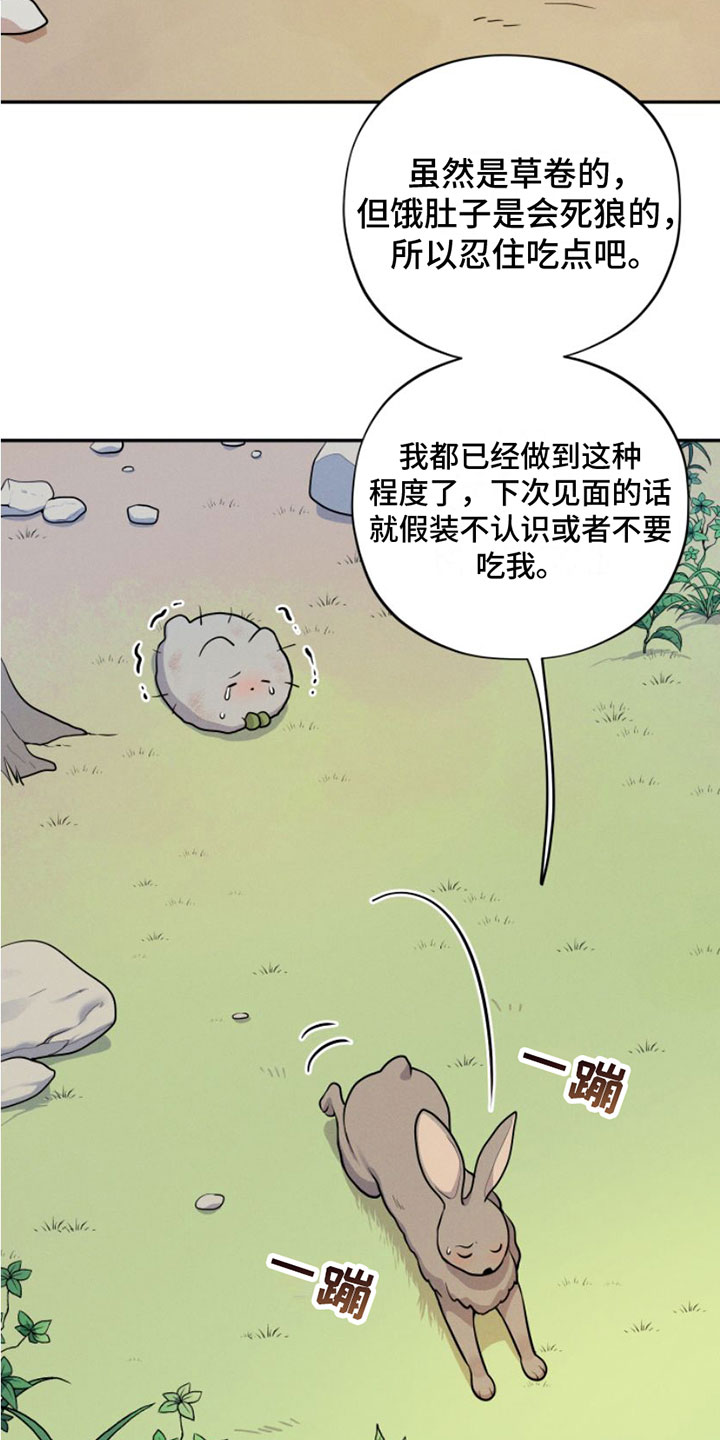萌兔来袭漫画免费漫画,第1章：兔子救狼1图