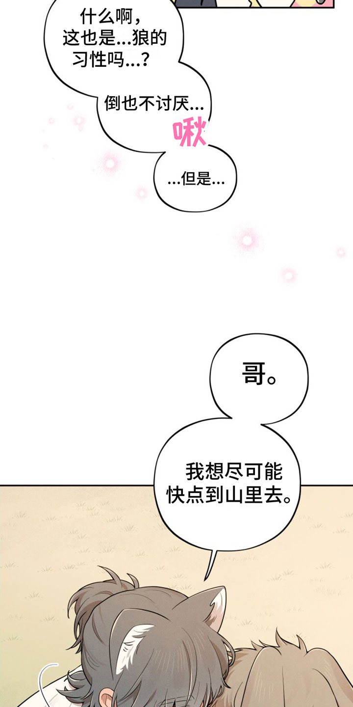 萌鸡小队第二季动画漫画,第5章：回山里去2图