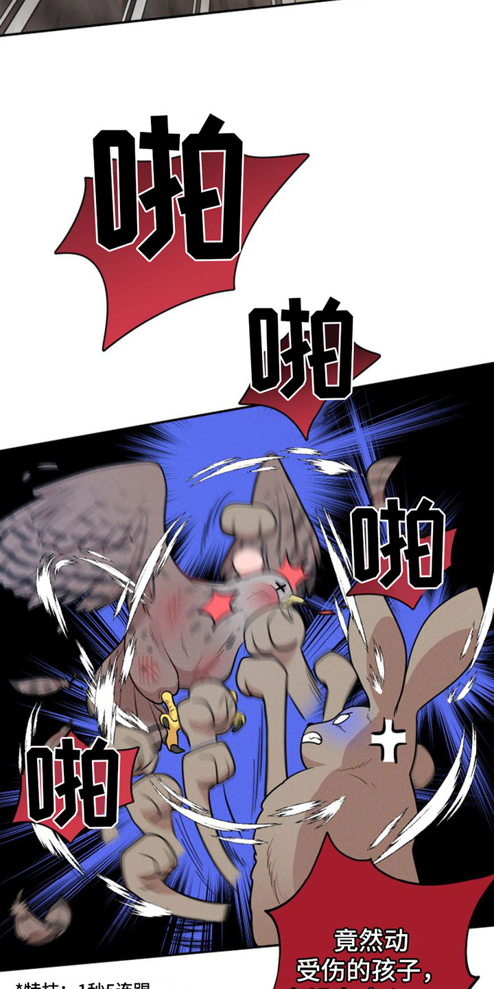 萌兔来袭漫画免费漫画,第1章：兔子救狼1图