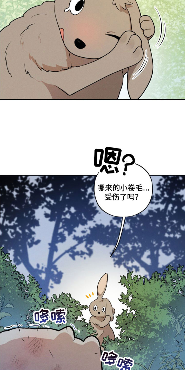 萌兔来袭总裁爹地请签收免费看漫画,第1章：兔子救狼2图