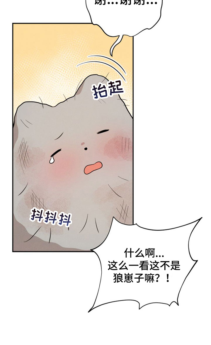 萌兔来袭漫画免费漫画,第1章：兔子救狼1图