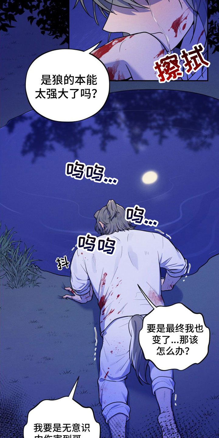 萌兔来袭韩漫又叫什么名字漫画,第4章：我是哥的1图