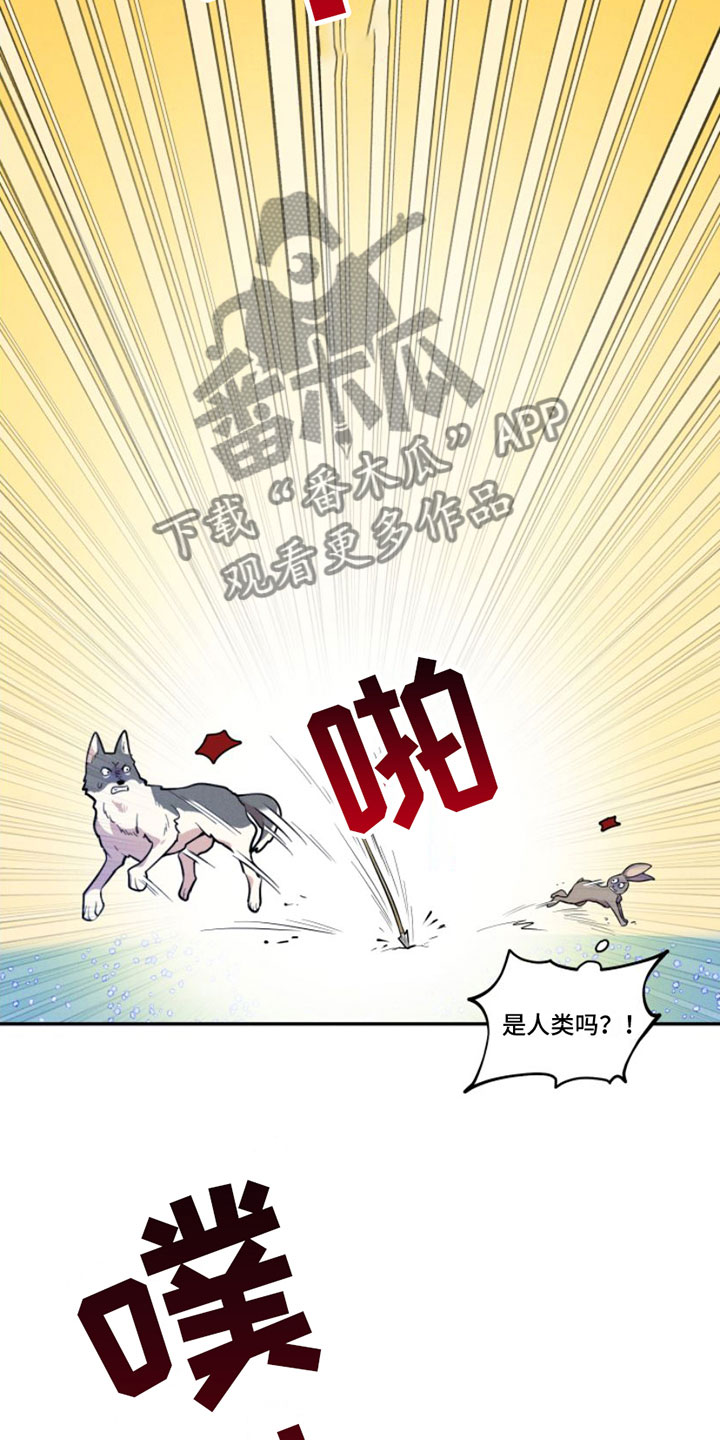 萌兔来袭韩漫又叫什么名字漫画,第4章：我是哥的1图