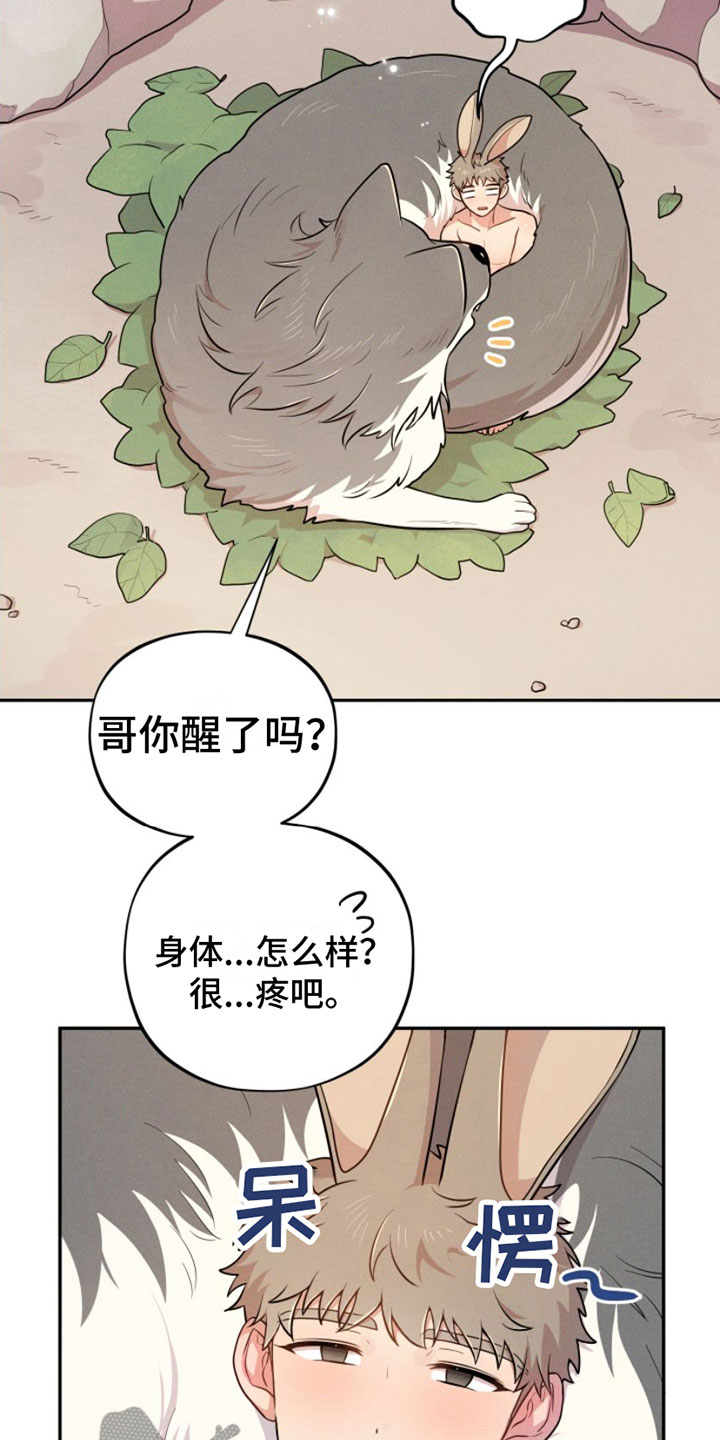 萌兔测评漫画,第10章：抹药1图