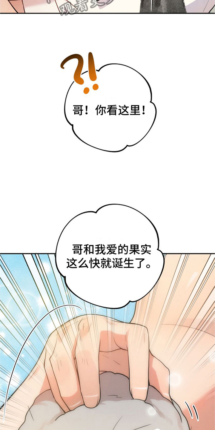 萌鸡小队第二季动画漫画,第11章：春天【完】1图