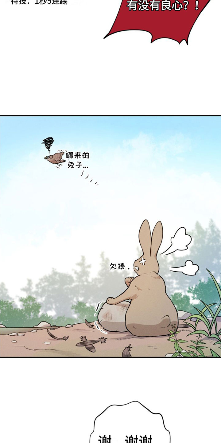 萌兔来袭漫画免费漫画,第1章：兔子救狼2图