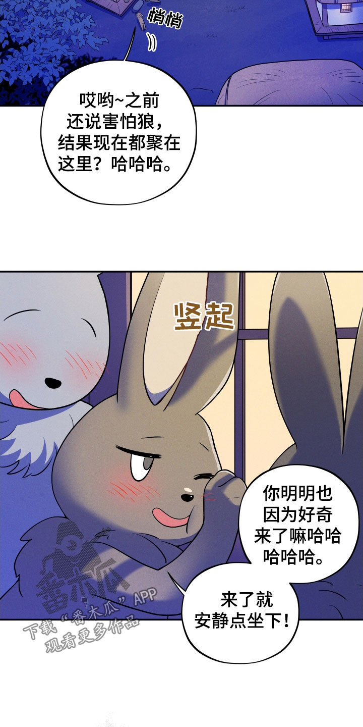 萌兔测评漫画,第15章：【番外】新婚之夜1图