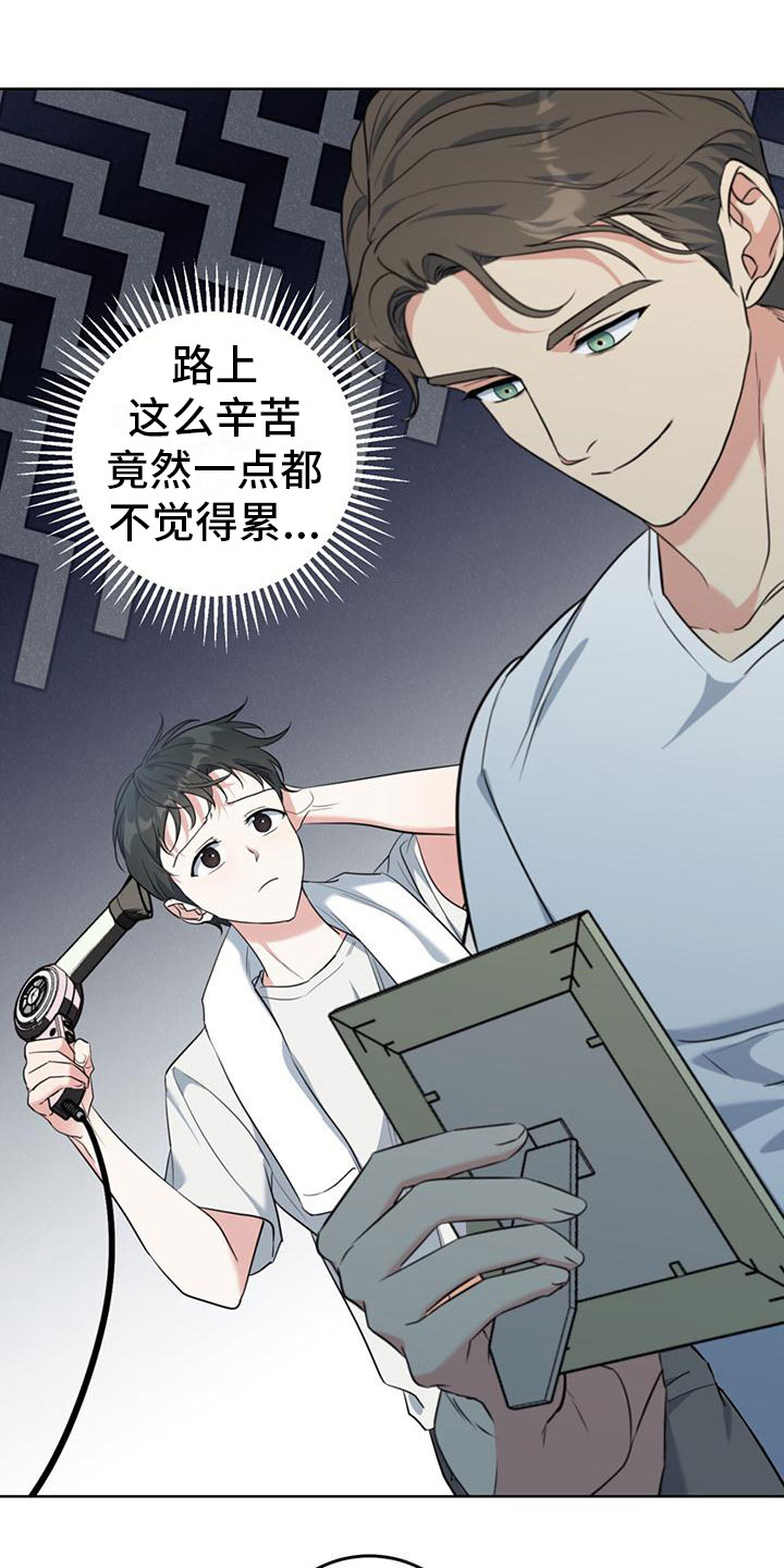 温情之森漫画画免费画完整版漫画,第3章：大型犬1图