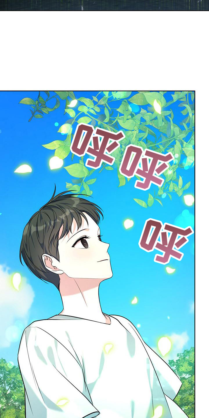 温情之森免费阅读漫画,第1章：初见2图