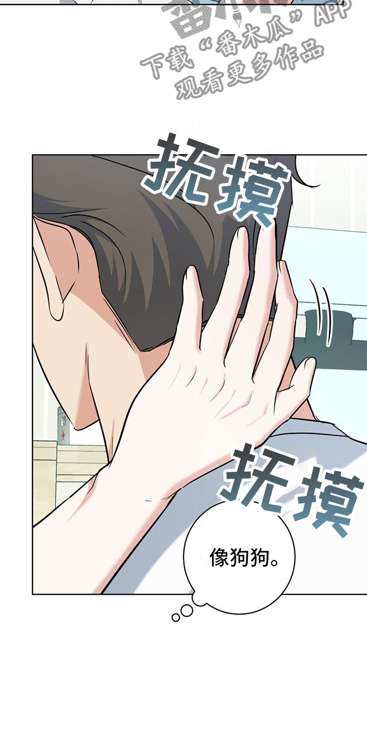 温情一生只为你免费阅读漫画,第9章：出柜1图