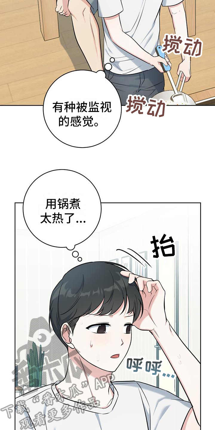 温情之森漫画画免费画完整版漫画,第17章：一直盯着2图