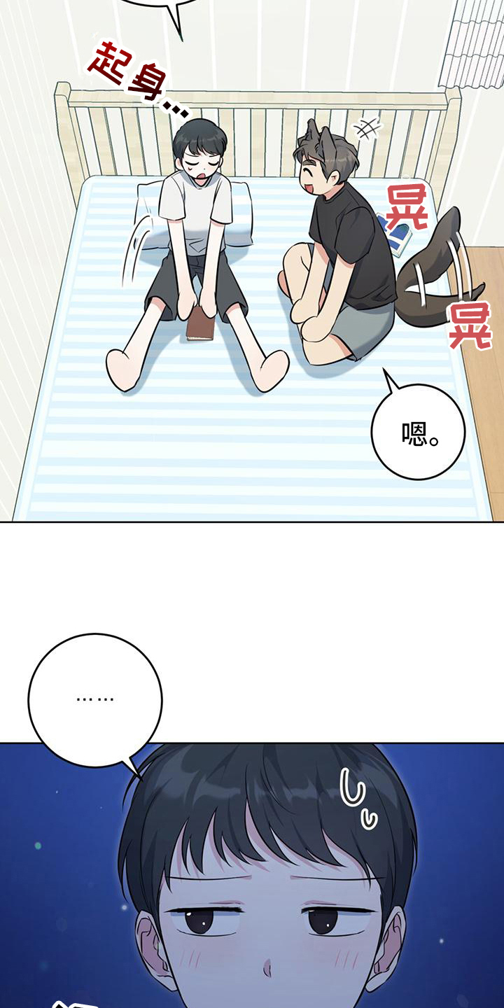 温情说剧漫画,第20章：星空2图