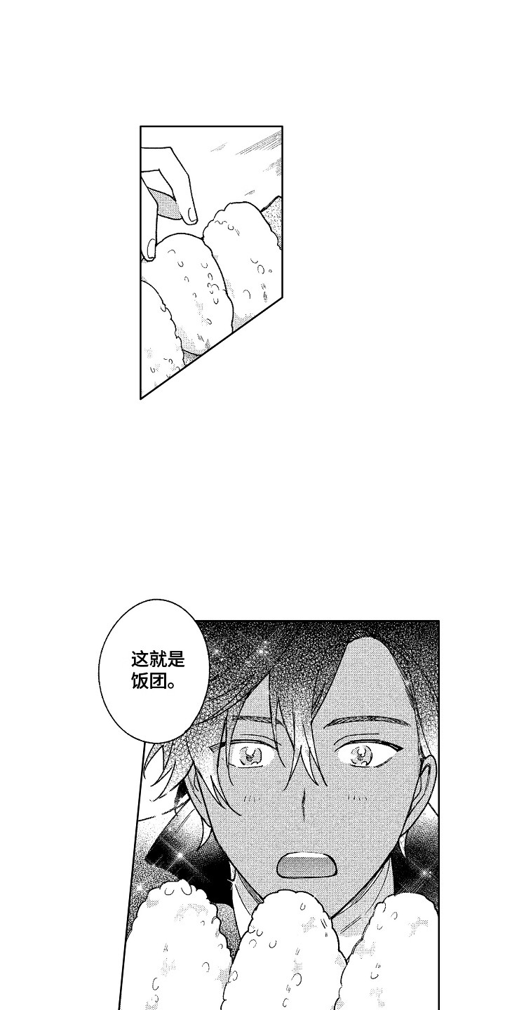 花艺世家漫画,第15章：饭团2图