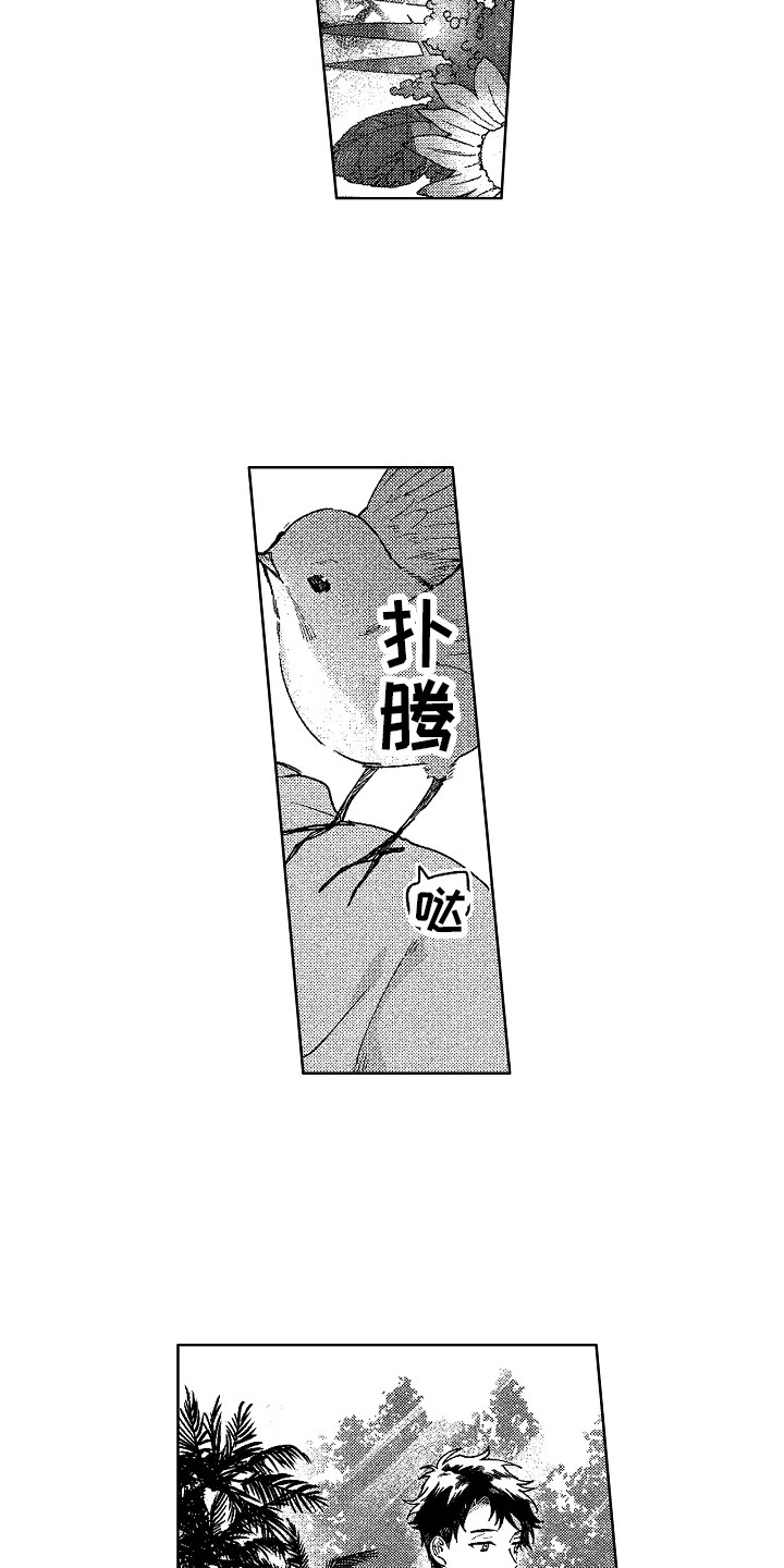 花艺世家漫画,第28章：求婚（完结）2图