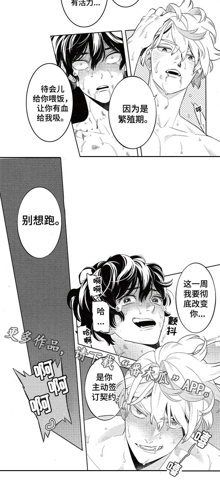 隐秘血族漫画,第11章：签订契约2图
