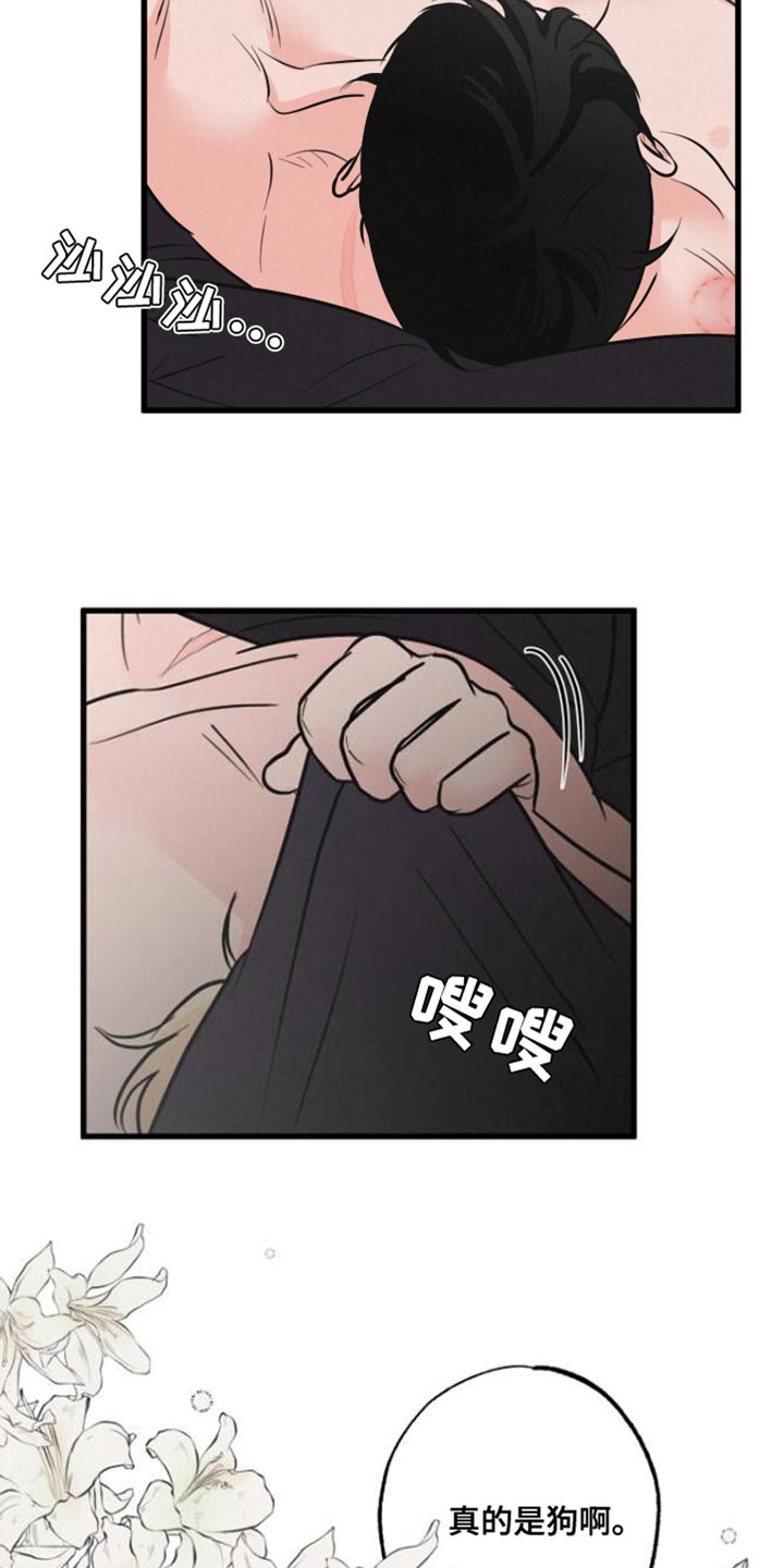 狂飙啤酒热量漫画,第12章：小狗1图