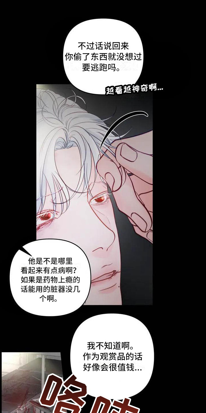 狂攻公寓把正宇还给我漫画漫画,第16章：驯养：海伦2图