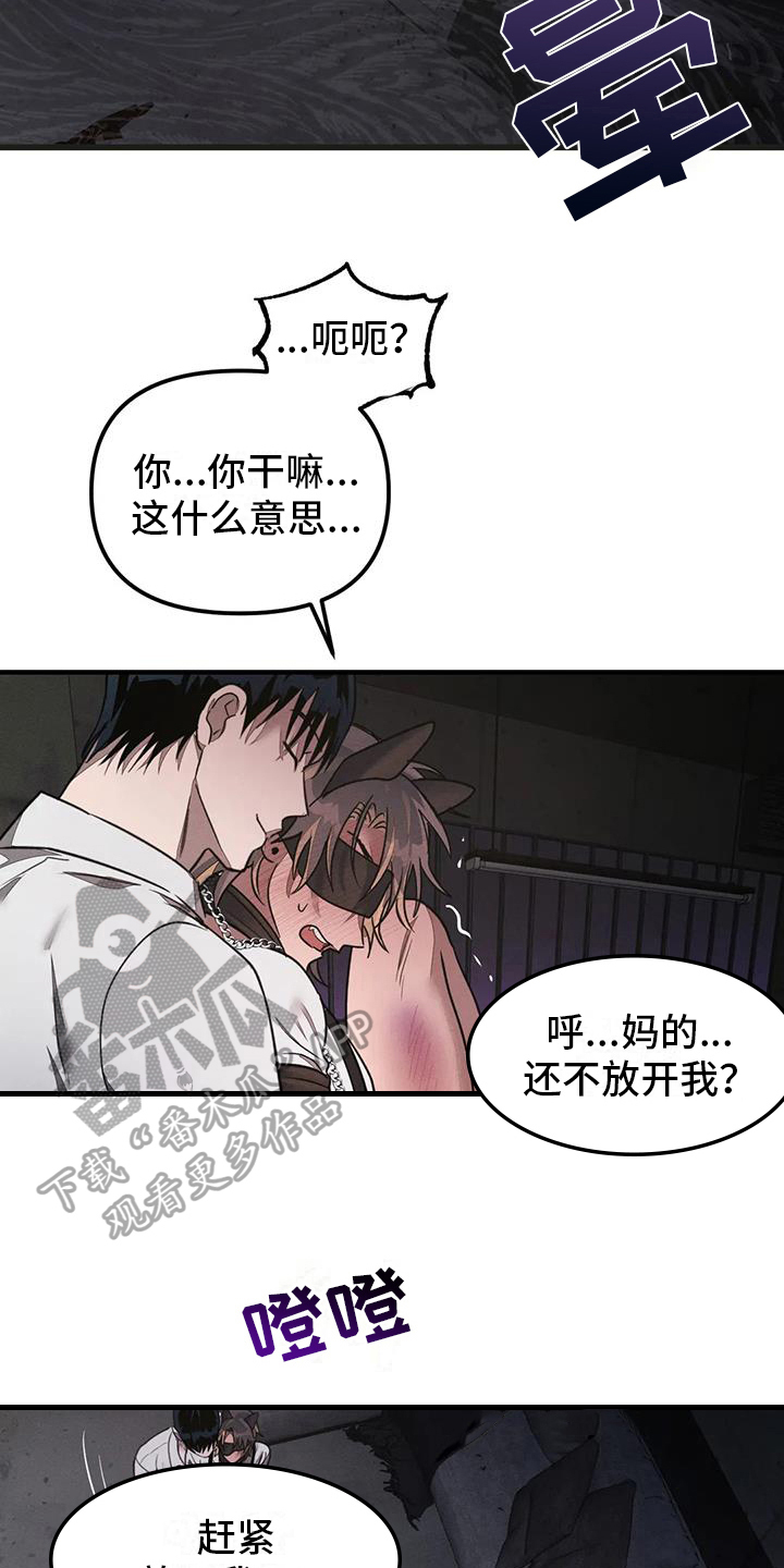 狂攻公寓在线免费看漫画,第60章：养狗：面对面1图