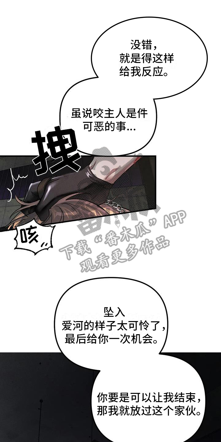 狂攻公寓漫画,第62章：养狗：输了1图