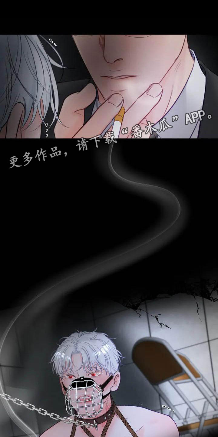 囚宠漫画漫画,第17章：驯养：家畜1图