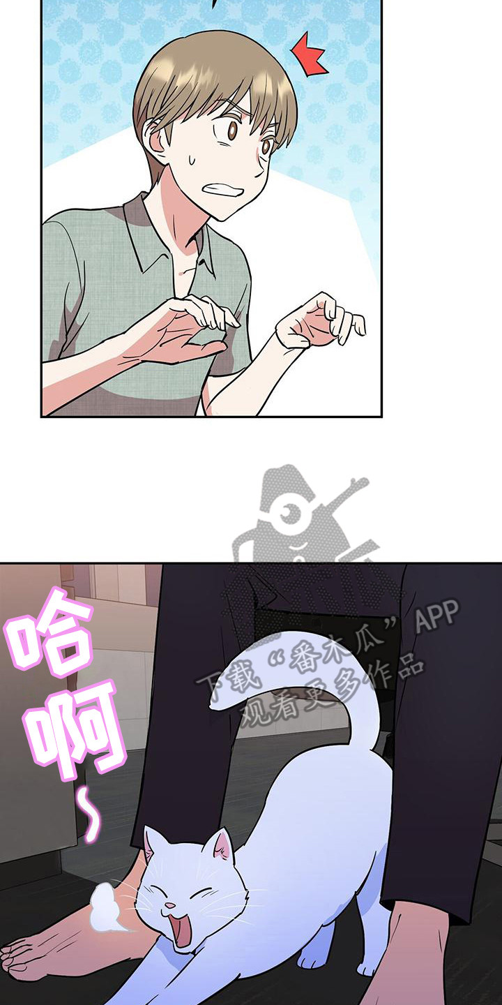 已故恋人的邮件漫画,第8章：概括要点2图