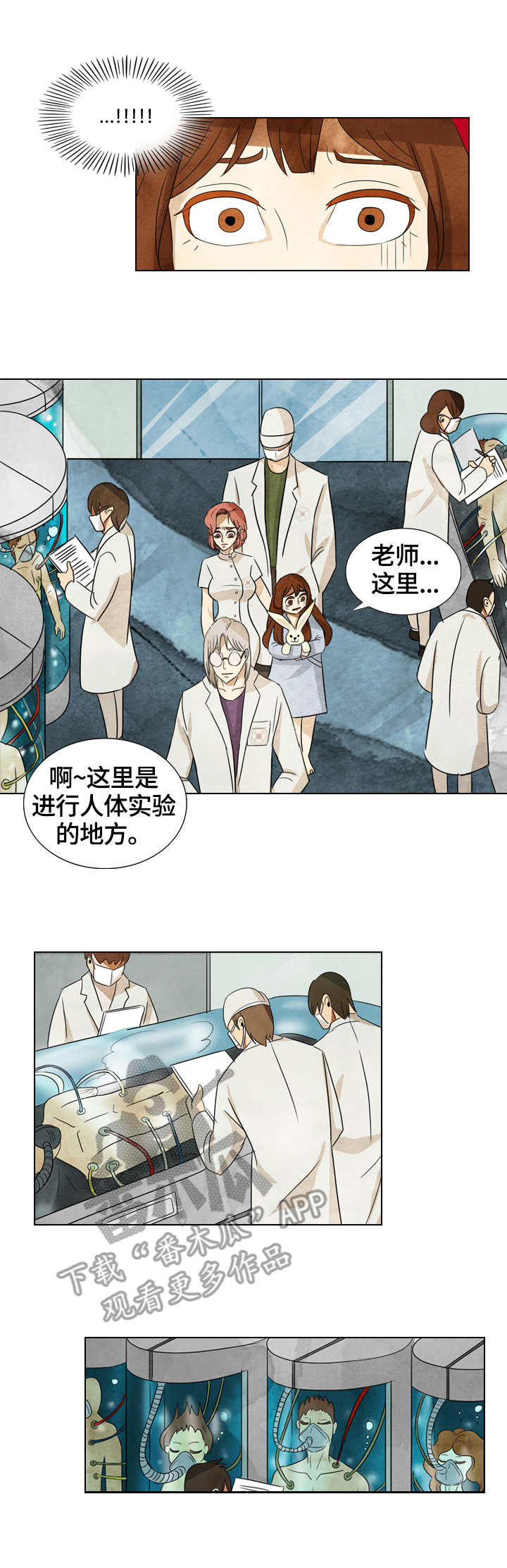 三花一岛都是什么鱼漫画,第38章：这里的秘密1图