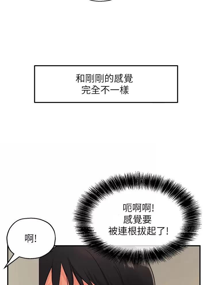 诚实杂货店免费阅读入口漫画,第4话1图