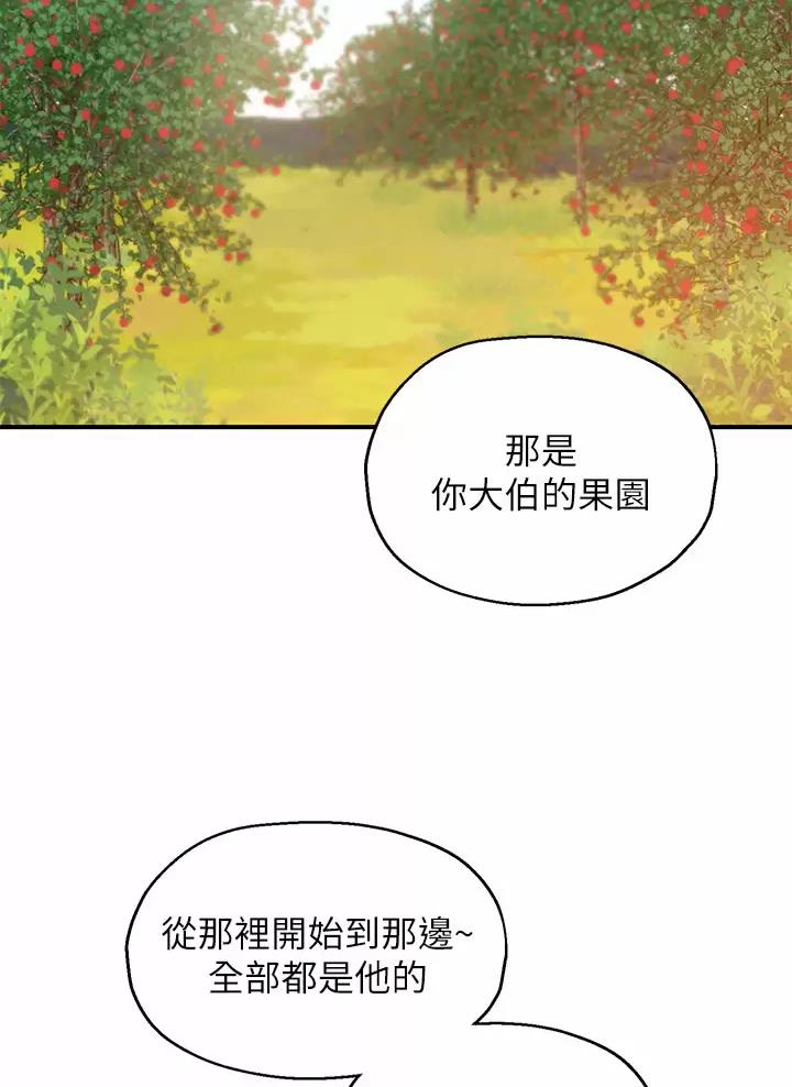 诚实杂货店免费阅读入口漫画,第7话2图