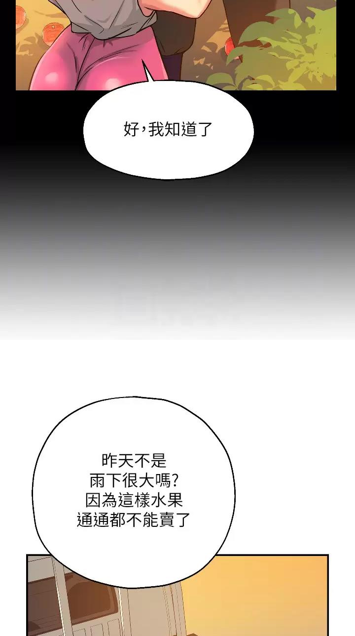 诚实杂货店在哪看漫画,第21话1图