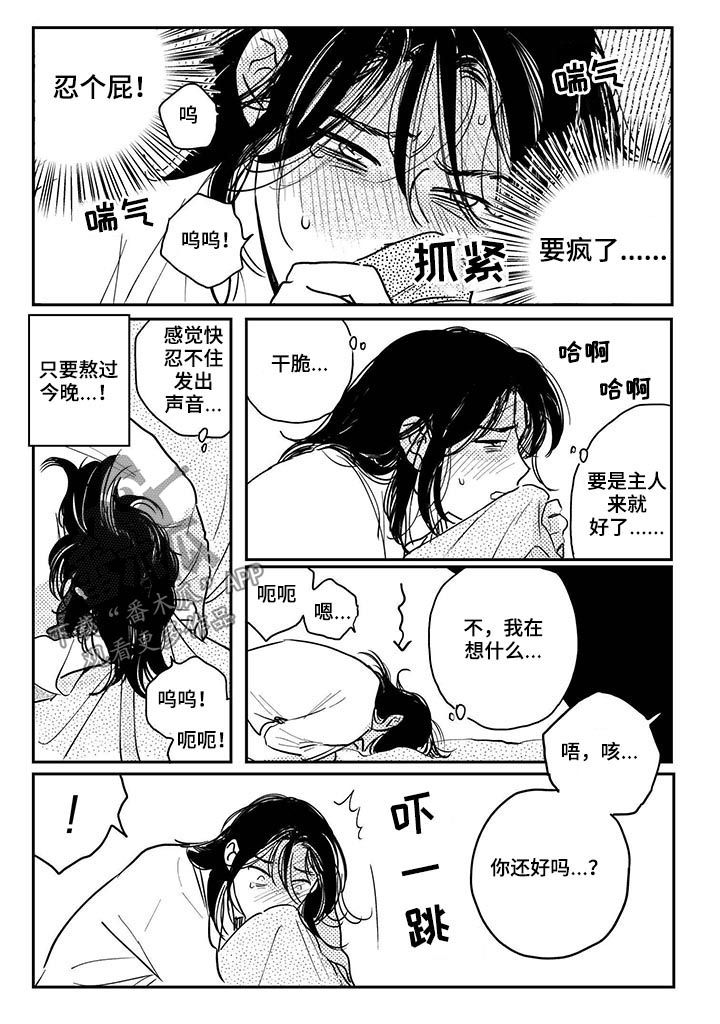 买来的小媳妇漫画,第71章：【番外】效果非凡1图