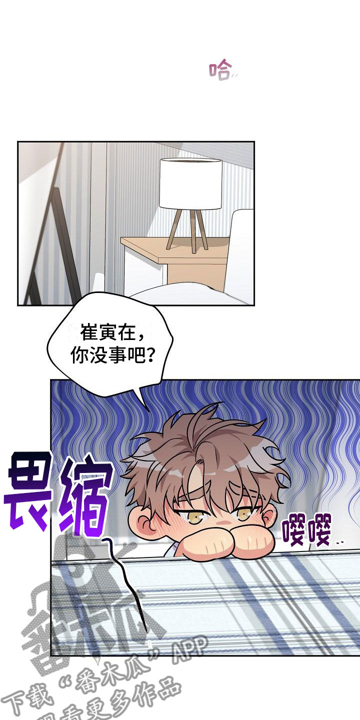 众多品牌方涌入肥娟小吃直播间漫画,第8章：再来一次【完】1图