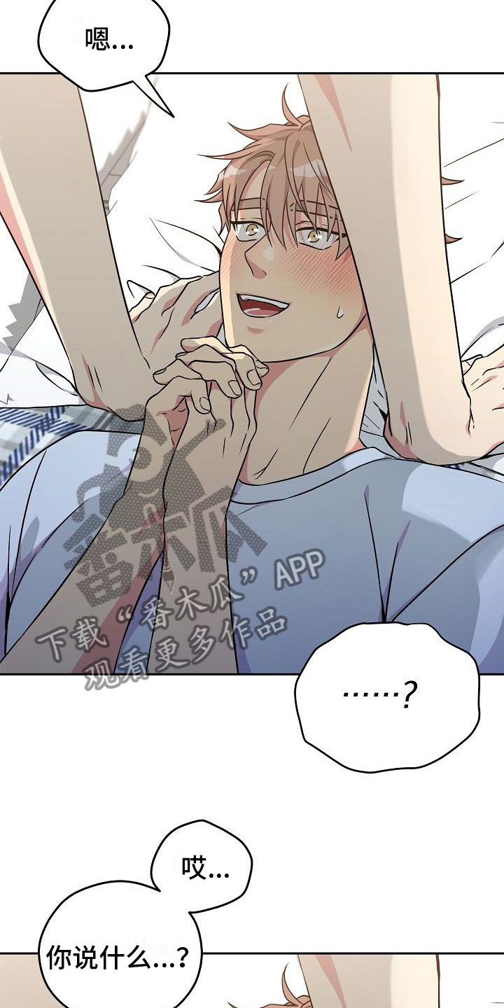 众多鸟用四字成语形容漫画,第5章：共犯1图