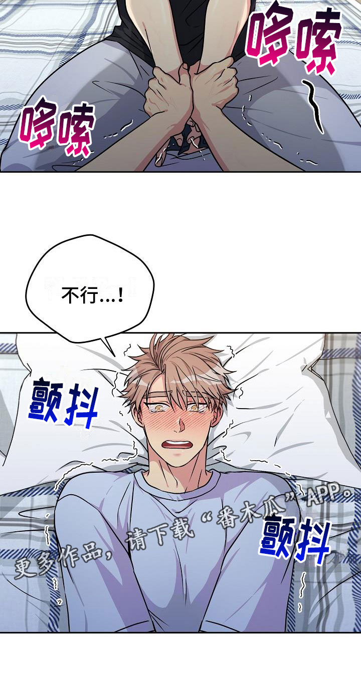 众多鸟用四字成语形容漫画,第5章：共犯2图