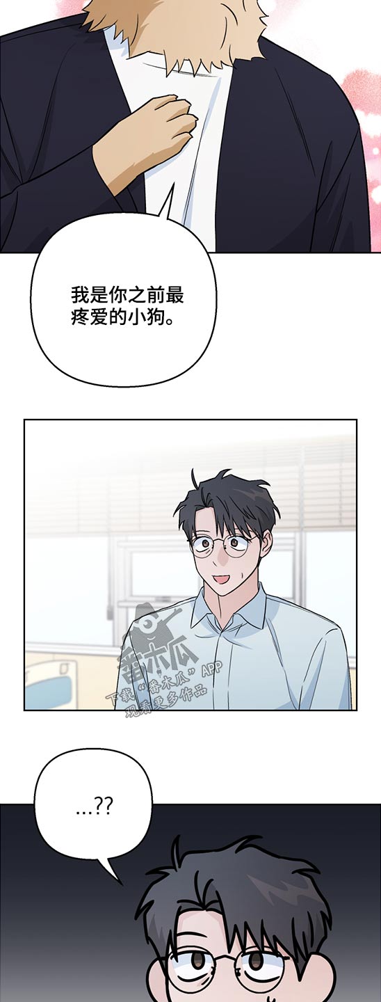 爱犬与我漫画,第48章：药物1图