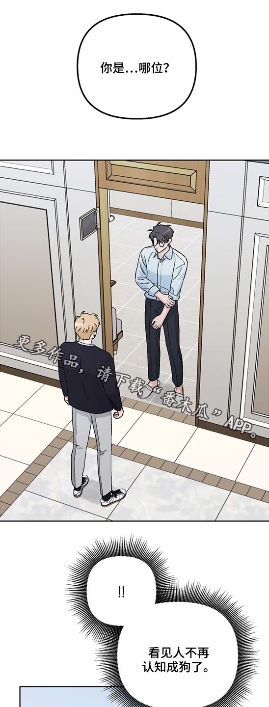 爱犬与我漫画,第48章：药物1图