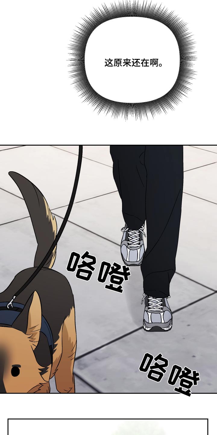 爱犬与我漫画,第84章：【第二季】陷入1图