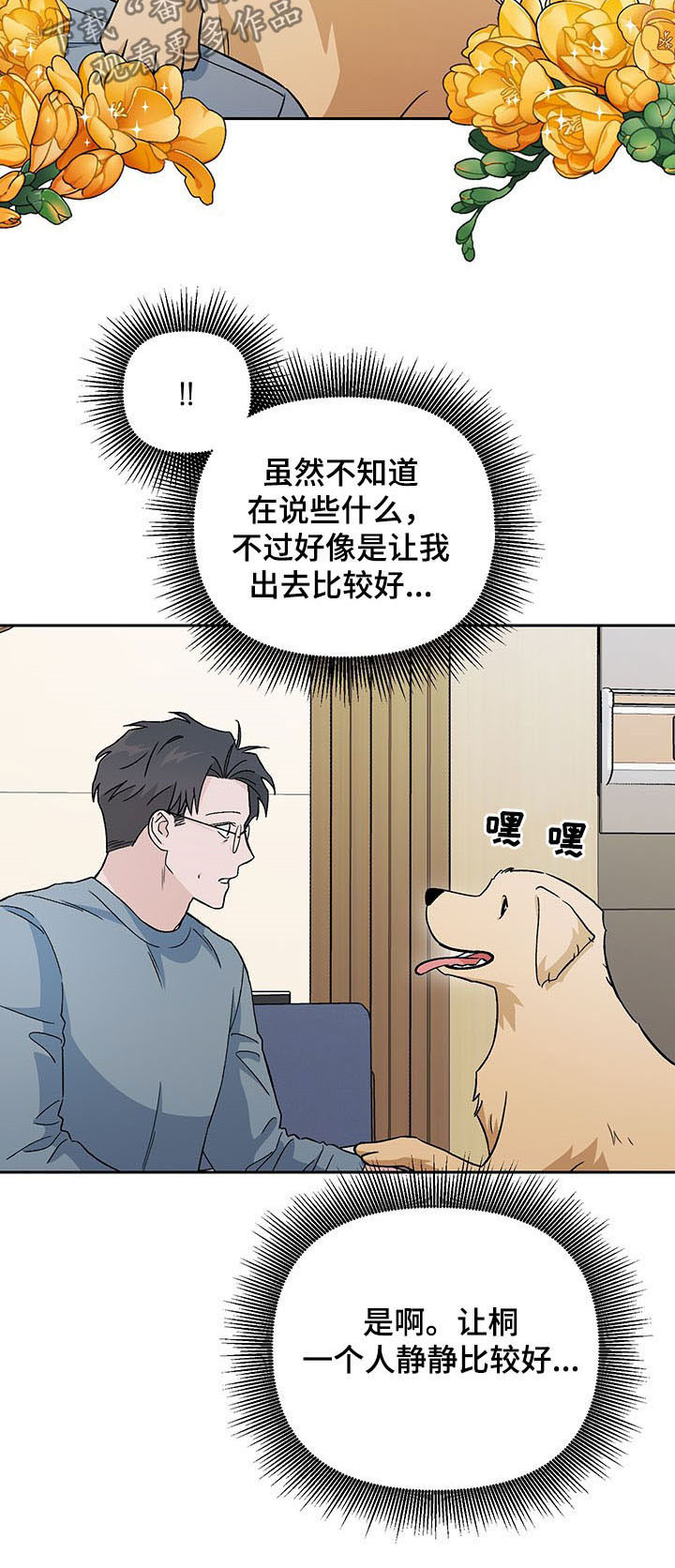 爱犬与我漫画,第19章：不幸2图