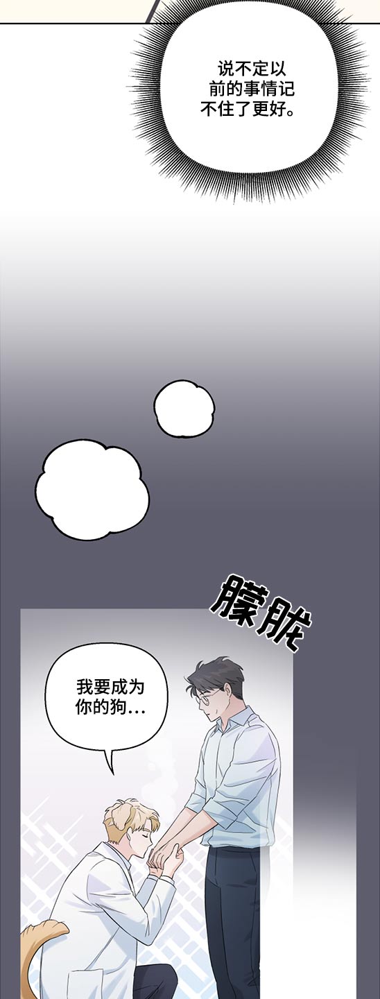 爱犬与我漫画,第48章：药物1图